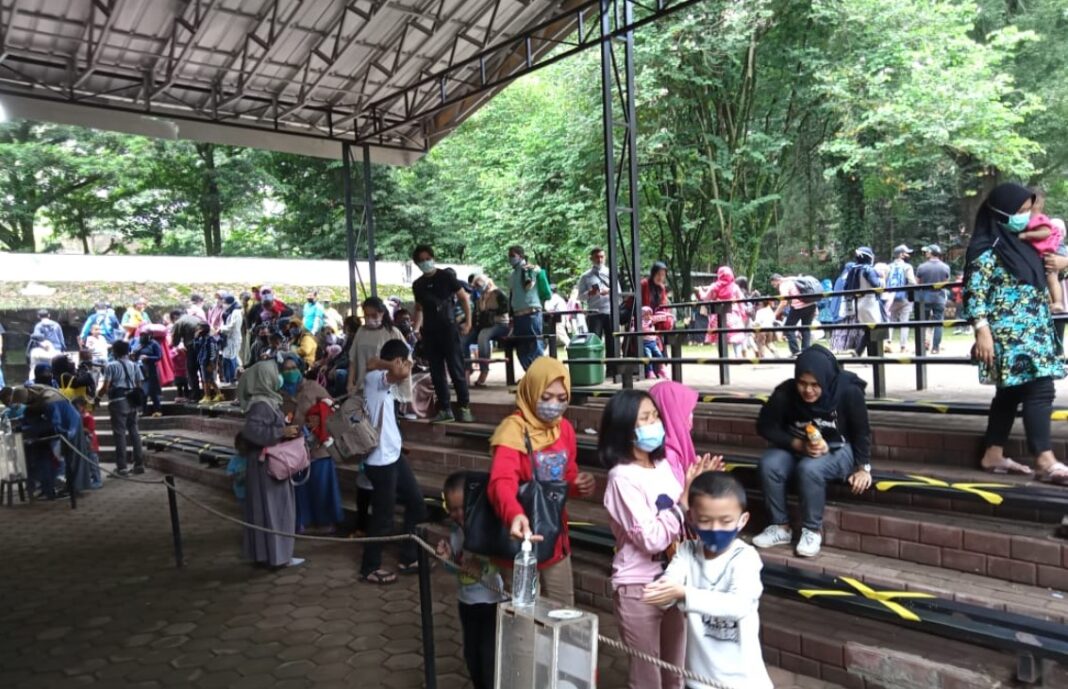 Pengunjung kebun binatang Bandung 5 hari libur tembus 8800an orang