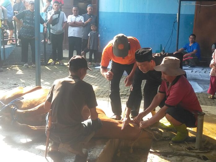 Ketua DKM Masjid bersama para ustad mempersiapkan penyembelihan sapi pertama di Masjid Baiturahman