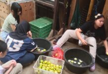 Sekelompok anak remaja sekolah belajar jadi junior keeper di Bandung Zoo ditemani kakak kakak Keeper