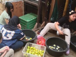 Sekelompok anak remaja sekolah belajar jadi junior keeper di Bandung Zoo ditemani kakak kakak Keeper