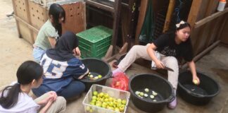 Sekelompok anak remaja sekolah belajar jadi junior keeper di Bandung Zoo ditemani kakak kakak Keeper