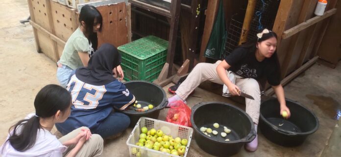 Sekelompok anak remaja sekolah belajar jadi junior keeper di Bandung Zoo ditemani kakak kakak Keeper Sekelompok anak remaja sekolah belajar jadi junior keeper di Bandung Zoo ditemani kakak kakak Keeper