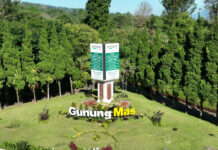 Penampakan Gunung Mas