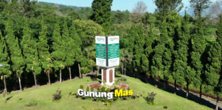 Penampakan Gunung Mas