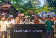 Serikat Pekerja Mandiri Derenden Bandung Zoo berunjuk rasa inginkan segera bisa beroperasi kembali.
