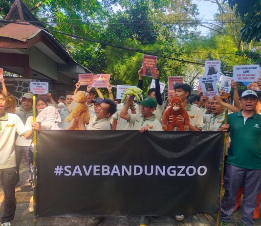 Serikat Pekerja Mandiri Derenden Bandung Zoo berunjuk rasa inginkan segera bisa beroperasi kembali.