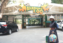 Bandung Zoo Keluar dari PKBSI