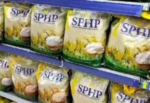 Apa Kabarnya Beras SPHP? Sang Big Boss Bulog Ungkap Sebanyak Ini Realisasi Penyalurannya