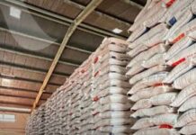 Punya Modal Rp5 Triliun, Bulog Segera Bangun 100 Gudang, Siapa Saja yang Ikut Terlibat? Sang Bos Sebut BUMN Karya