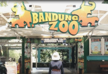 LSM Asing Bicarakan Bandung Zoo Dan Berencana Kunjungi Bandung Zoo