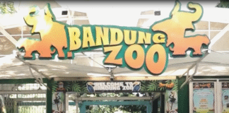 LSM Asing Bicarakan Bandung Zoo Dan Berencana Kunjungi Bandung Zoo