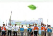 Begini Jurus PLN Lestarikan Lingkungan: Perkuat Pesisir Karawang: Tanam Puluhan Ribu Batang Pohon,, Jenisnya?