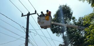 PLN Kasih Tips Khusus Bagi Seluruh Warga Republik Ini Selama Musim Hujan, Soal Apa Ya?