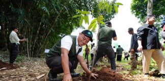 Begini Cara SEI, Sang Anak Usaha PT Len Industri Pelihara dan Lestarikan Alam, Terus Aktifkan Penanaman Pohon
