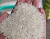 Stok Beras Berlimpah, Bos Besar Bulog Siap Realisasikan Rencana Ekpor, Berapa Banyak? Negara Tujuannya? Simak Penjelasannya