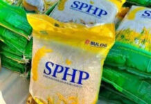 Harga Beras Setara dan Seragam Segera Berlaku se-Indonesia, Nominalnya Rp12.500 per Kilo Gram, Begini Penjelasan Bulog