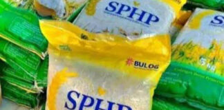 Harga Beras Setara dan Seragam Segera Berlaku se-Indonesia, Nominalnya Rp12.500 per Kilo Gram, Begini Penjelasan Bulog