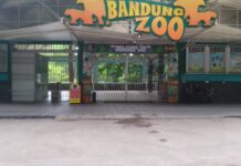 Penutupan Kebun Binatang Bandung Sisakan Sejumlah Masalah