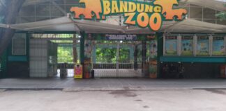 Serikat Pekerja Bandung Zoo Sambut Positif Skema Wali Kota